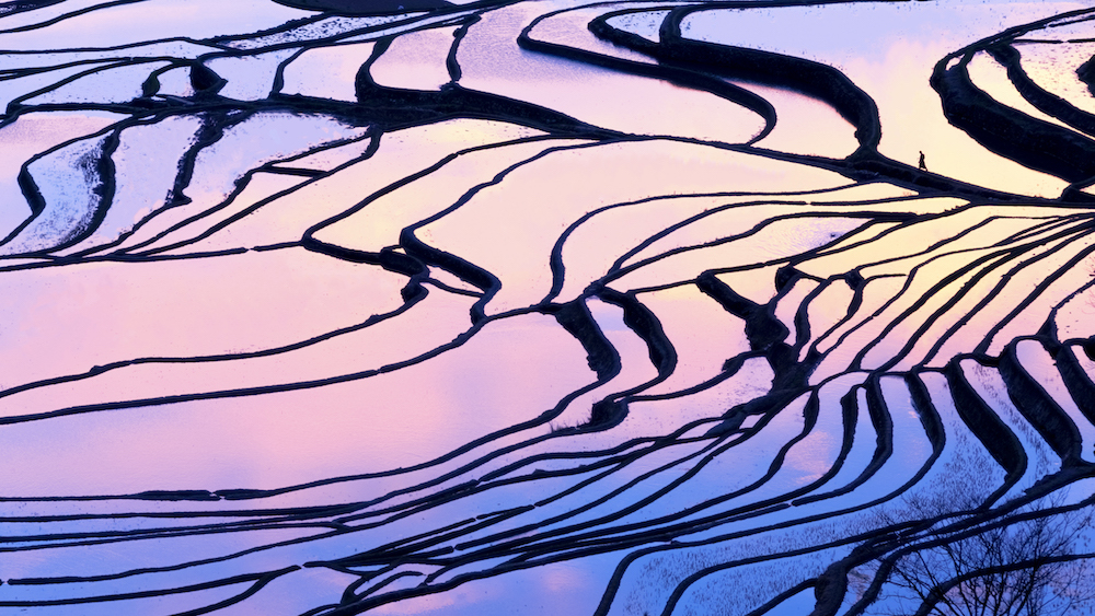 音頻平臺，會成為大語文類產品的重要分發渠道嗎？