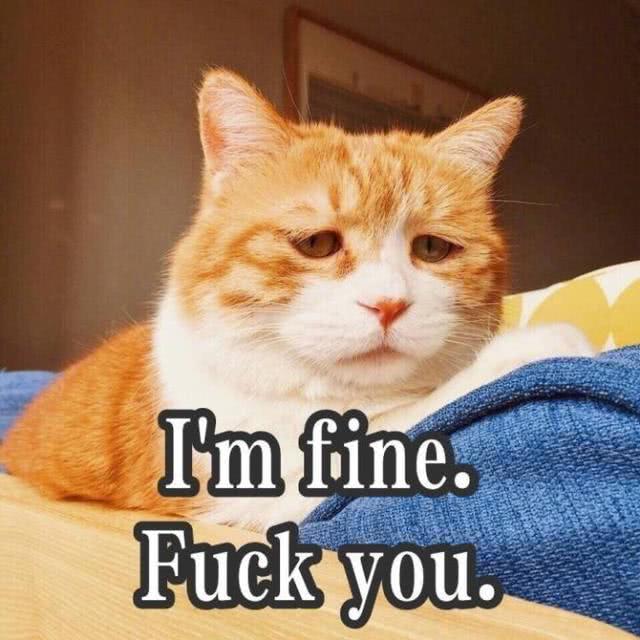 沒聽懂這8句00后黑話的,據說都是偽00后?