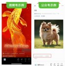 微信：用戶發(fā)布AI生成合成內(nèi)容需主動(dòng)聲明