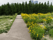 青春期孩子從叛逆躺平到懂事上進(jìn)，取決于父母意識(shí)覺