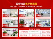 為什么越來越多的學員選擇來新航道學雅思托福？