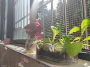 淚目!新生報到,大學門口媽媽的一句話,看哭無數家長