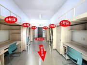 重慶一高校要求新生自選宿舍，低價宿舍秒光，學生只